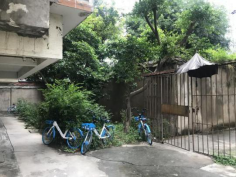 图片7 永利皇宫