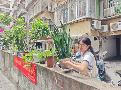 为深化实施新时代“堡垒工程”,充分发挥基层党组织战斗堡垒和党员先锋模范作用,切实筑牢辖区防汛安全防线。2026年7月10日,温泉街道包会领导带队在汤边社区开展防汛专项督导检查。街道包社区干部全员下沉一线,联动社区工作人员、网格员、党员志愿者开展辖区全域隐患巡查。 (3) 永利皇宫